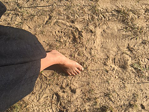 Helga Seewann Wochenendseminar, Füße im Sand